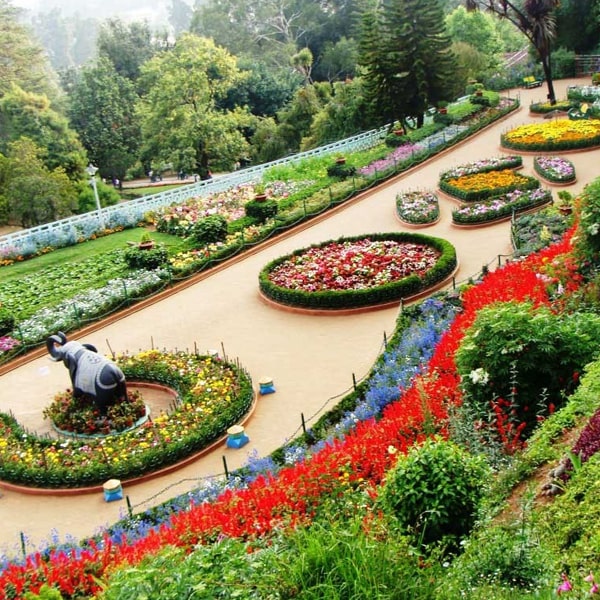 Best of Himachal Tour.jpg